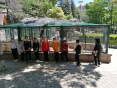 Evrensel Kolej